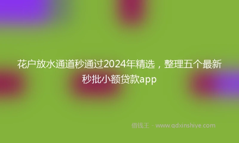 花户放水通道秒通过2024年精选，整理五个最新秒批小额贷款app