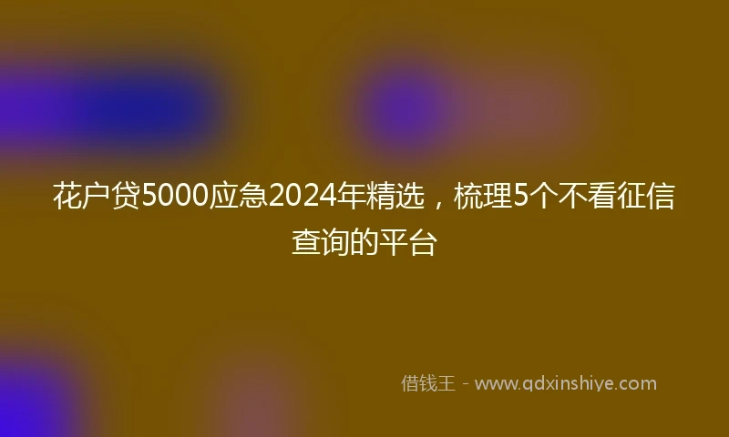 花户贷5000应急2024年精选，梳理5个不看征信查询的平台