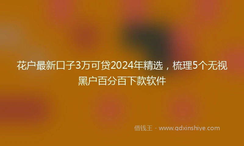 花户最新口子3万可贷2024年精选，梳理5个无视黑户百分百下款软件