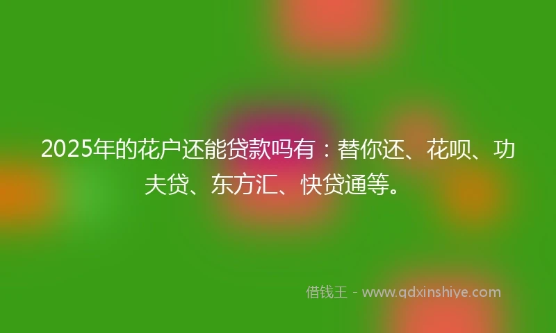 2025年的花户还能贷款吗有：替你还、花呗、功夫贷、东方汇、快贷通等。