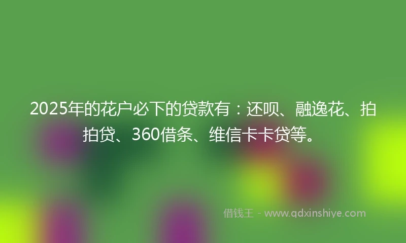 2025年的花户必下的贷款有：还呗、融逸花、拍拍贷、360借条、维信卡卡贷等。