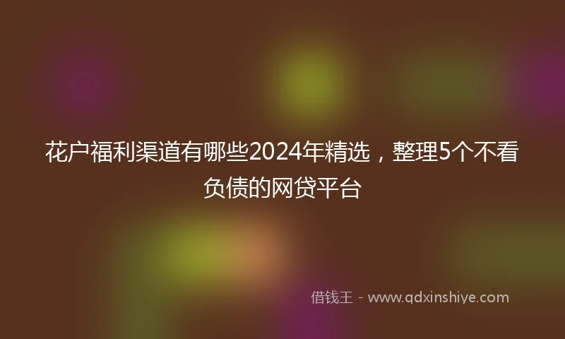 花户福利渠道有哪些2024年精选，整理5个不看负债的网贷平台