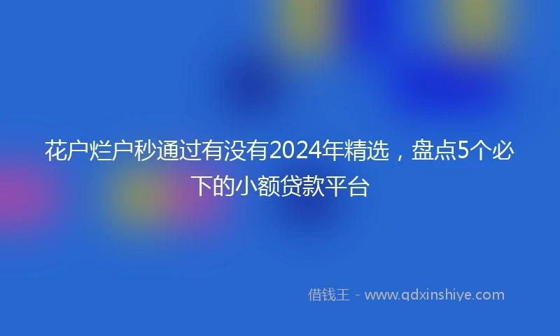 花户烂户秒通过有没有2024年精选，盘点5个必下的小额贷款平台