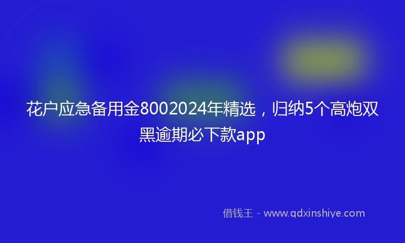 花户应急备用金8002024年精选，归纳5个高炮双黑逾期必下款app