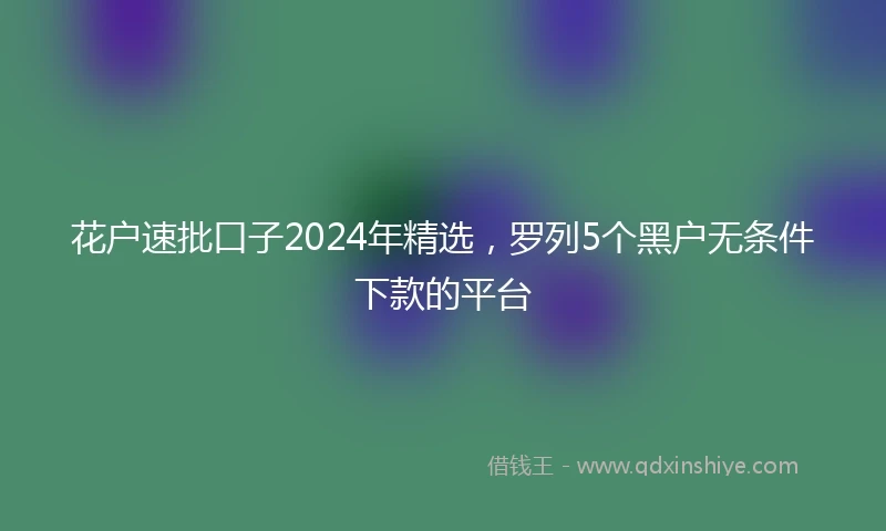 花户速批口子2024年精选，罗列5个黑户无条件下款的平台