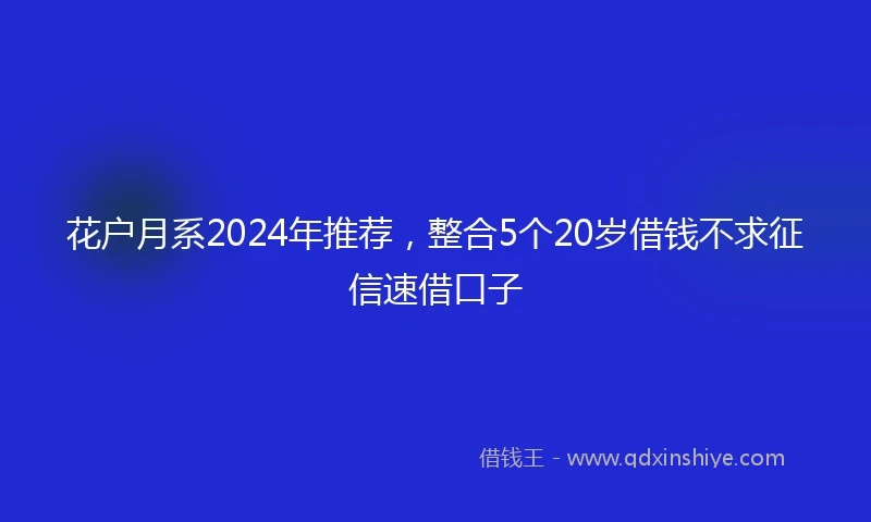 花户月系2024年推荐，整合5个20岁借钱不求征信速借口子