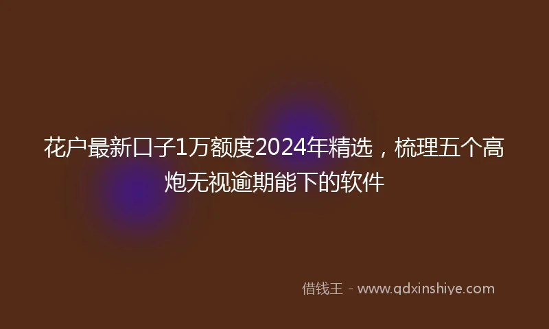 花户最新口子1万额度2024年精选，梳理五个高炮无视逾期能下的软件