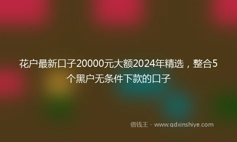 花户最新口子20000元大额2024年精选，整合5个黑户无条件下款的口子
