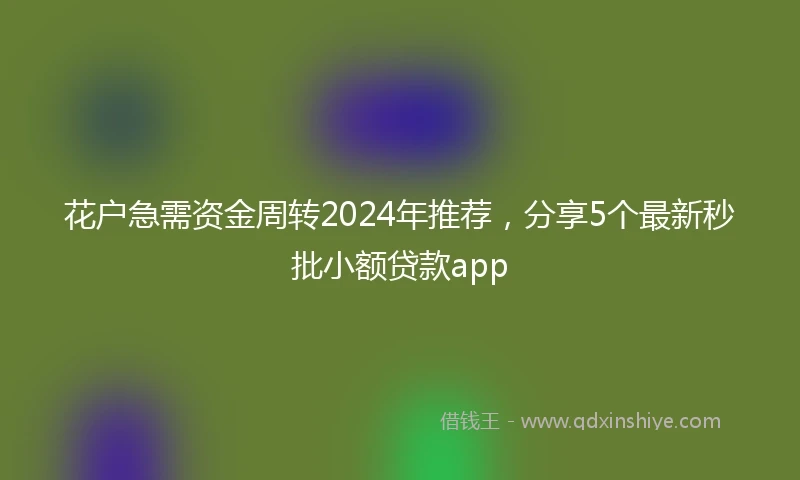 花户急需资金周转2024年推荐，分享5个最新秒批小额贷款app