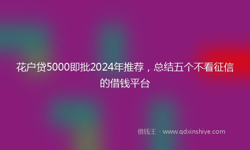 花户贷5000即批2024年推荐，总结五个不看征信的借钱平台