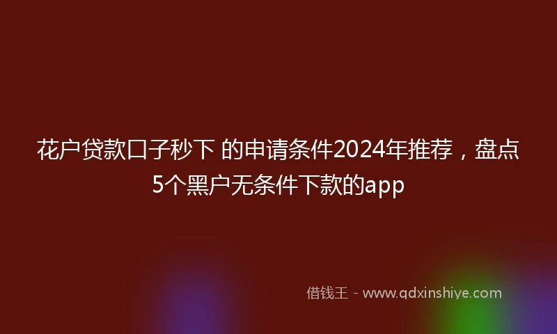 花户贷款口子秒下 的申请条件2024年推荐，盘点5个黑户无条件下款的app