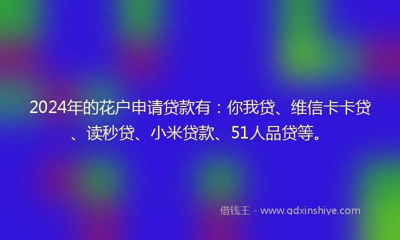 2024年的花户申请贷款有：你我贷、维信卡卡贷、读秒贷、小米贷款、51人品贷等。