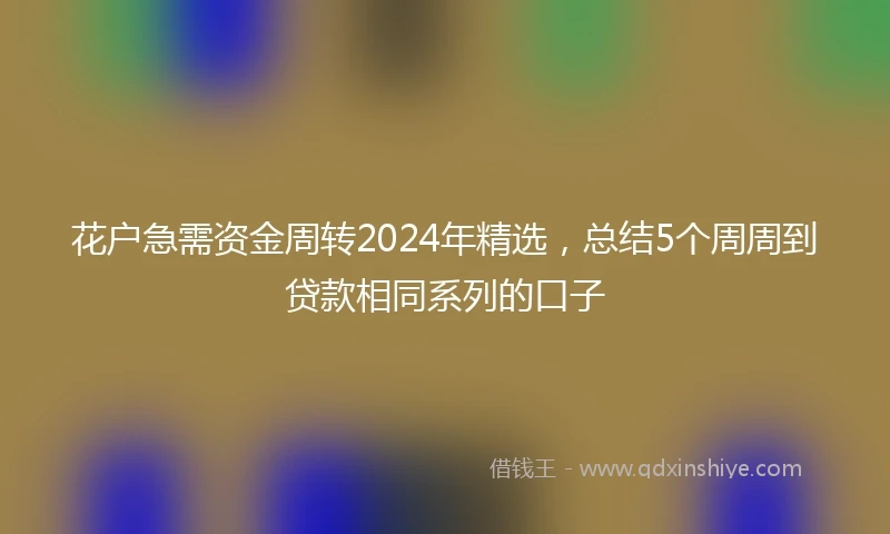 花户急需资金周转2024年精选，总结5个周周到贷款相同系列的口子