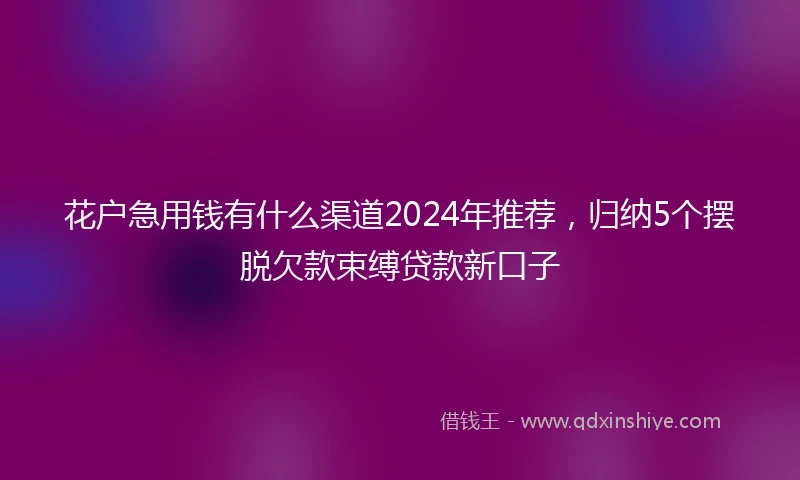 花户急用钱有什么渠道2024年推荐，归纳5个摆脱欠款束缚贷款新口子