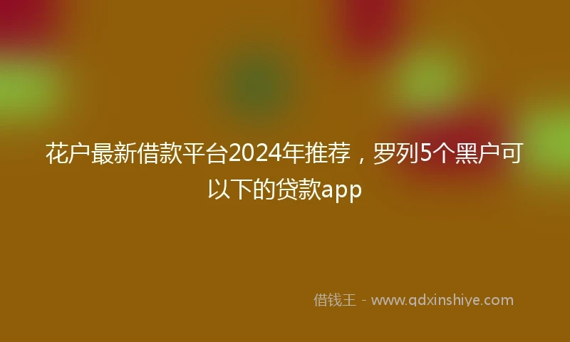 花户最新借款平台2024年推荐，罗列5个黑户可以下的贷款app