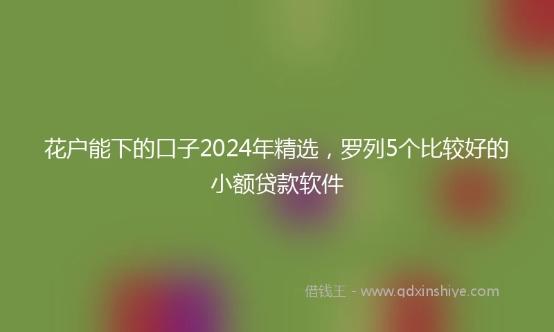 花户能下的口子2024年精选，罗列5个比较好的小额贷款软件