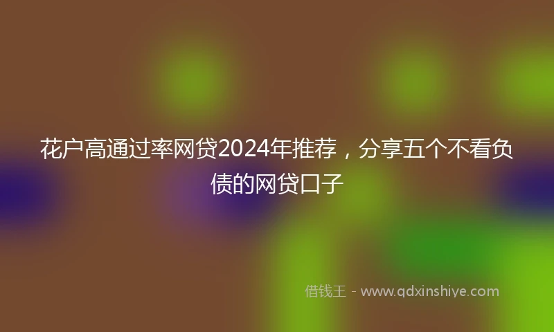 花户高通过率网贷2024年推荐，分享五个不看负债的网贷口子