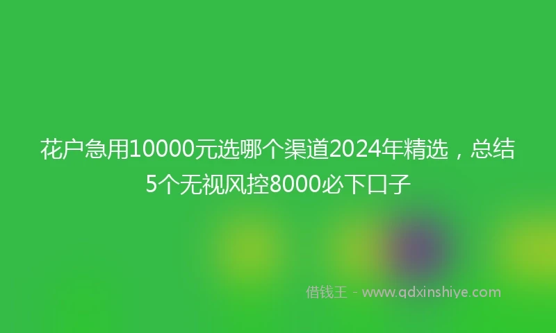 花户急用10000元选哪个渠道2024年精选，总结5个无视风控8000必下口子