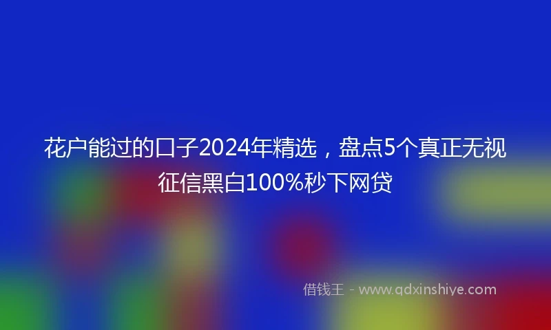 花户能过的口子2024年精选，盘点5个真正无视征信黑白100%秒下网贷