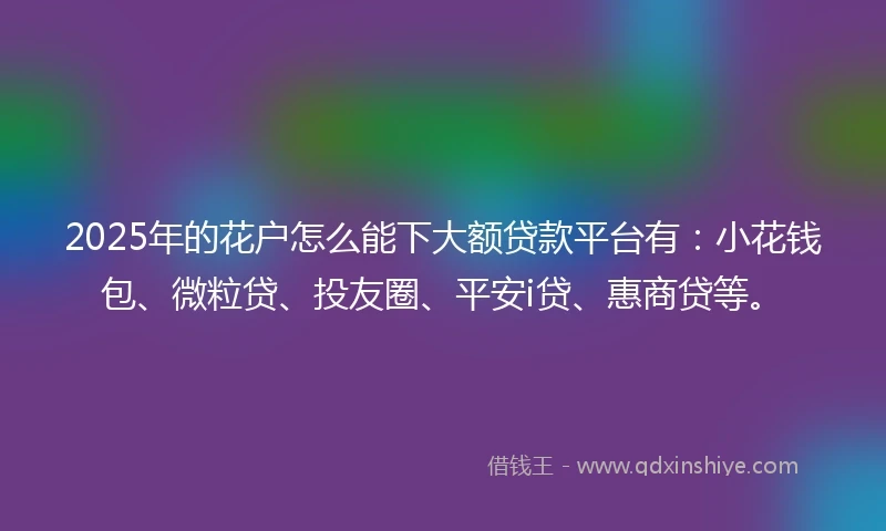 2025年的花户怎么能下大额贷款平台有：小花钱包、微粒贷、投友圈、平安i贷、惠商贷等。