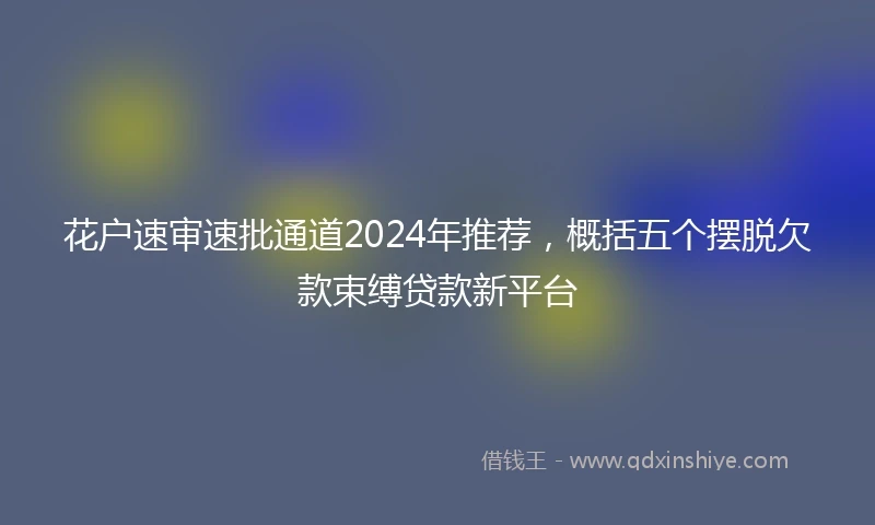 花户速审速批通道2024年推荐，概括五个摆脱欠款束缚贷款新平台
