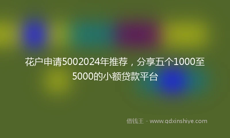 花户申请5002024年推荐，分享五个1000至5000的小额贷款平台