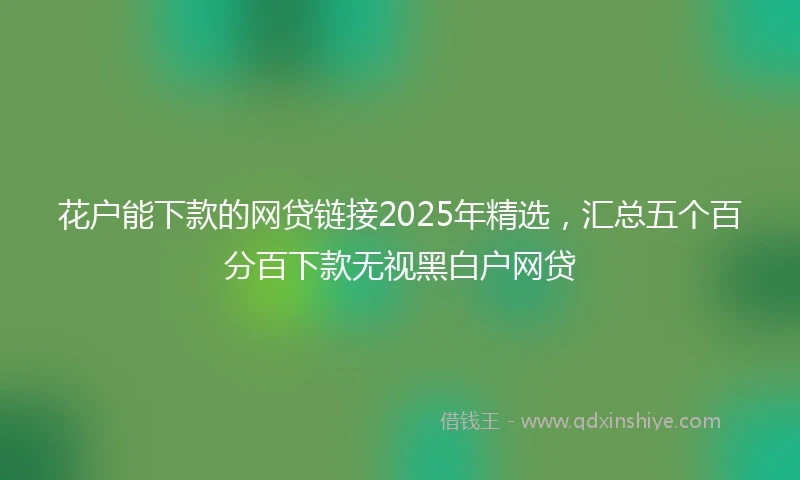 花户能下款的网贷链接2025年精选，汇总五个百分百下款无视黑白户网贷