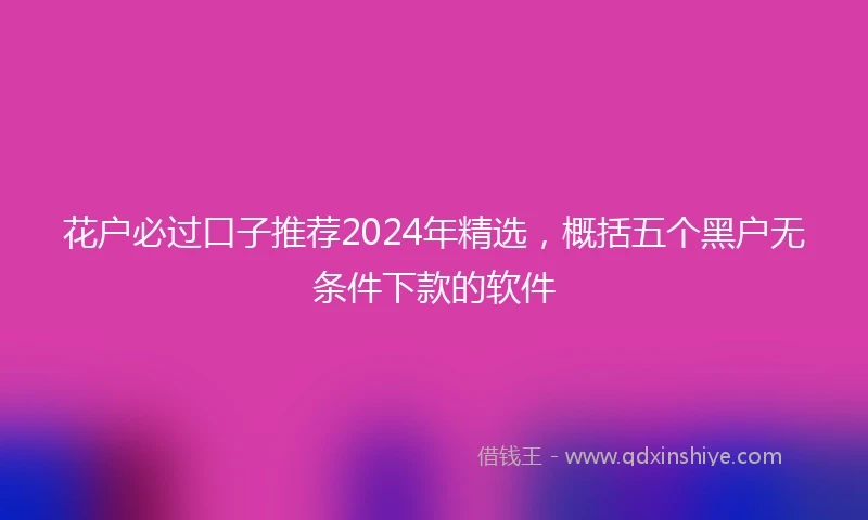 花户必过口子推荐2024年精选，概括五个黑户无条件下款的软件