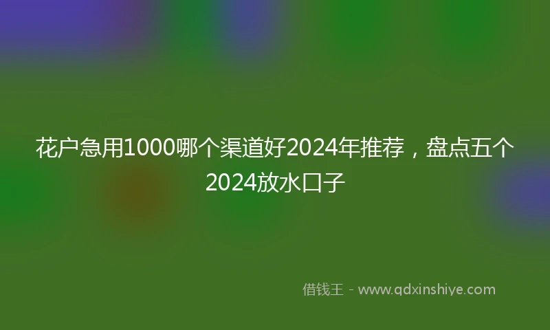 花户急用1000哪个渠道好2024年推荐，盘点五个2024放水口子