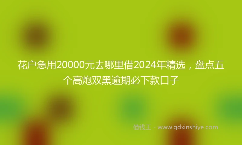 花户急用20000元去哪里借2024年精选，盘点五个高炮双黑逾期必下款口子