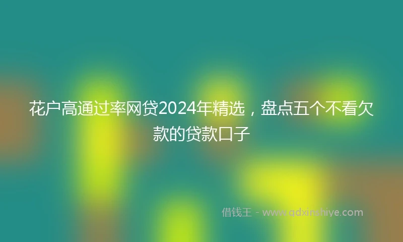 花户高通过率网贷2024年精选，盘点五个不看欠款的贷款口子