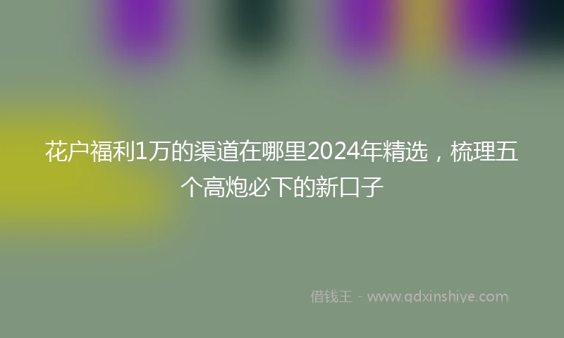 花户福利1万的渠道在哪里2024年精选，梳理五个高炮必下的新口子