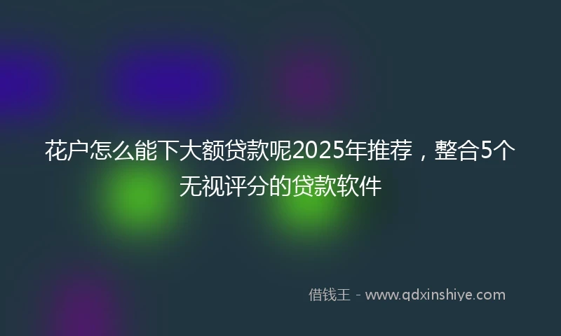 花户怎么能下大额贷款呢2025年推荐，整合5个无视评分的贷款软件