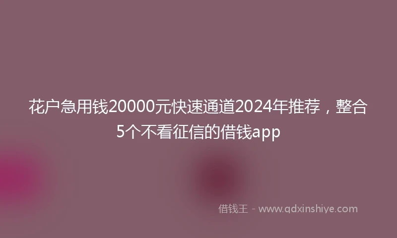 花户急用钱20000元快速通道2024年推荐，整合5个不看征信的借钱app