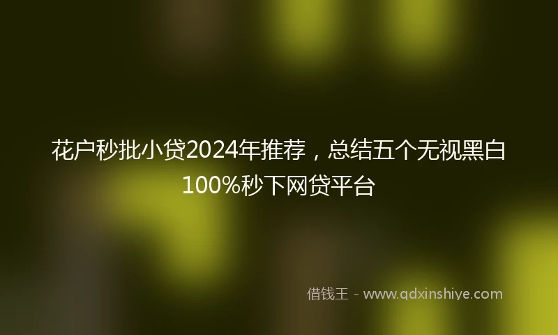 花户秒批小贷2024年推荐，总结五个无视黑白100%秒下网贷平台
