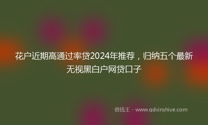 花户近期高通过率贷2024年推荐，归纳五个最新无视黑白户网贷口子