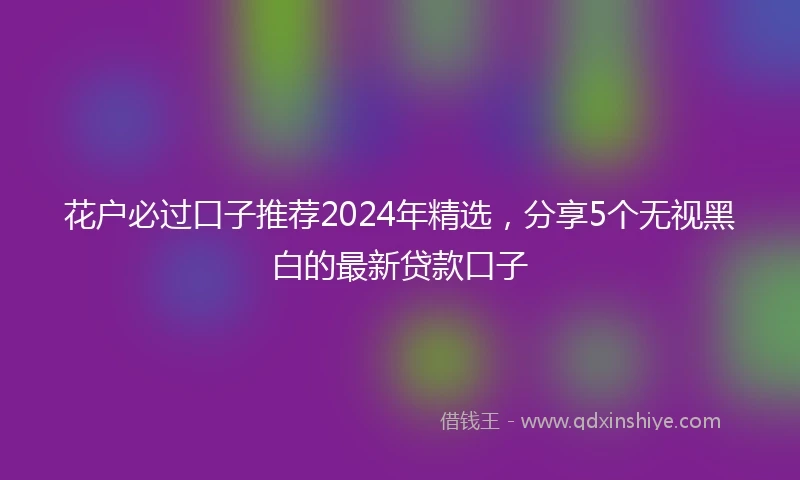 花户必过口子推荐2024年精选，分享5个无视黑白的最新贷款口子