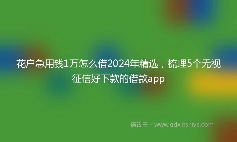 花户急用钱1万怎么借2024年精选，梳理5个无视征信好下款的借款app