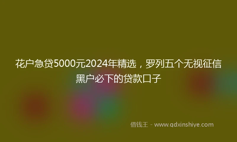 花户急贷5000元2024年精选，罗列五个无视征信黑户必下的贷款口子
