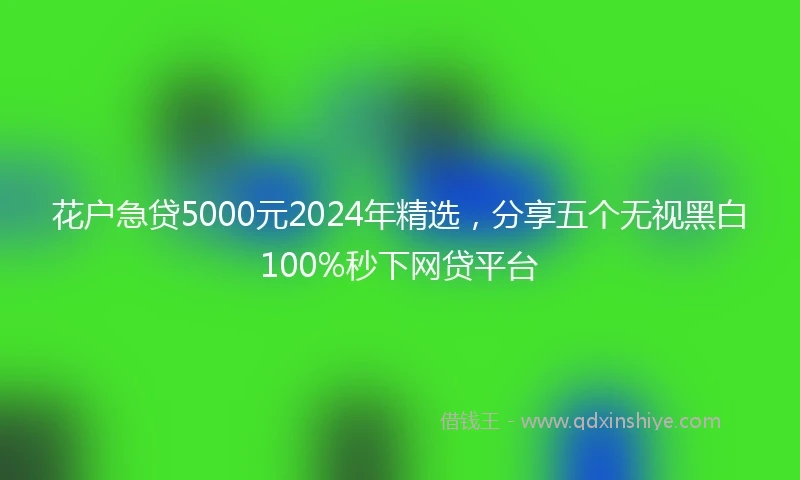 花户急贷5000元2024年精选，分享五个无视黑白100%秒下网贷平台