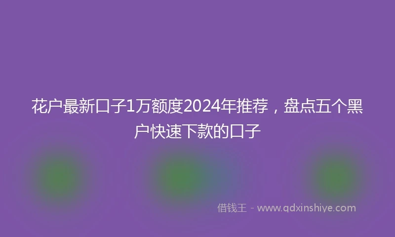 花户最新口子1万额度2024年推荐，盘点五个黑户快速下款的口子
