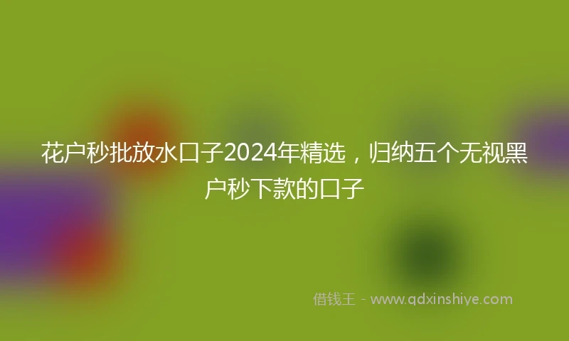 花户秒批放水口子2024年精选，归纳五个无视黑户秒下款的口子