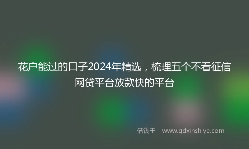 花户能过的口子2024年精选，梳理五个不看征信网贷平台放款快的平台