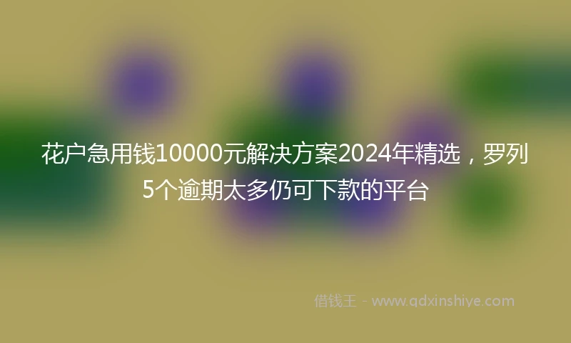花户急用钱10000元解决方案2024年精选,罗列5个逾期太多仍可下款的平台