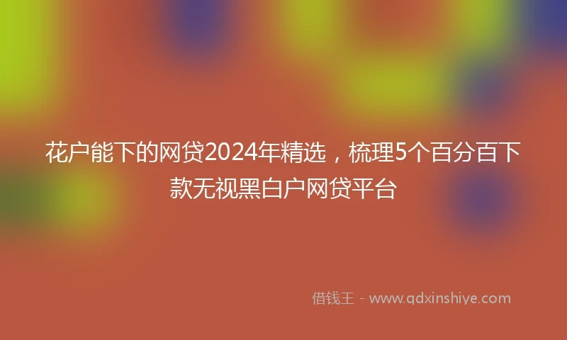 花户能下的网贷2024年精选，梳理5个百分百下款无视黑白户网贷平台