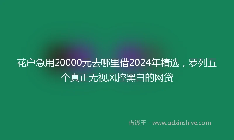 花户急用20000元去哪里借2024年精选，罗列五个真正无视风控黑白的网贷