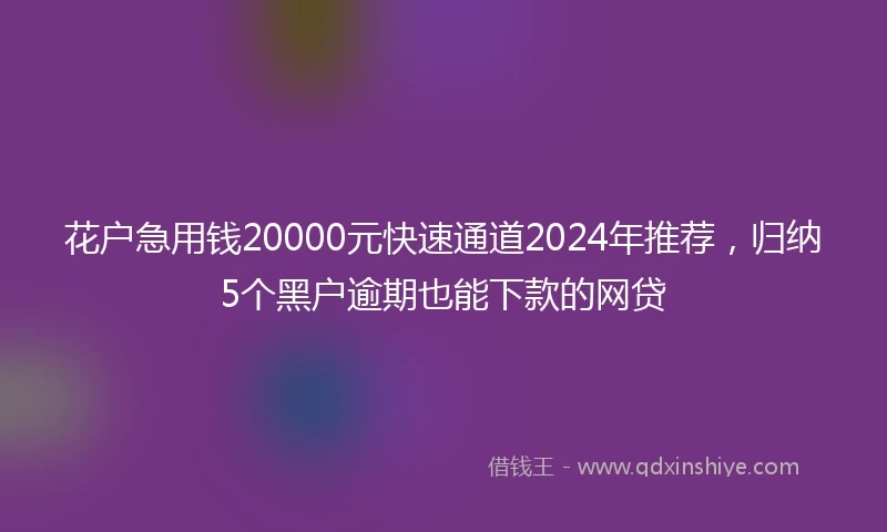 花户急用钱20000元快速通道2024年推荐，归纳5个黑户逾期也能下款的网贷