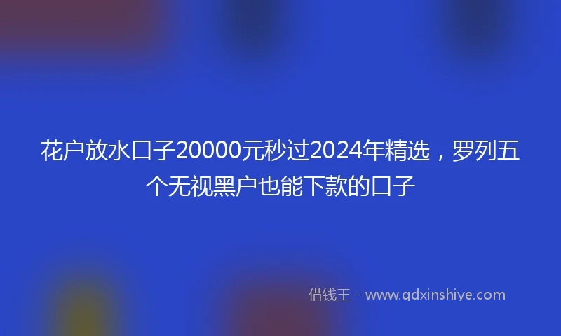 花户放水口子20000元秒过2024年精选，罗列五个无视黑户也能下款的口子