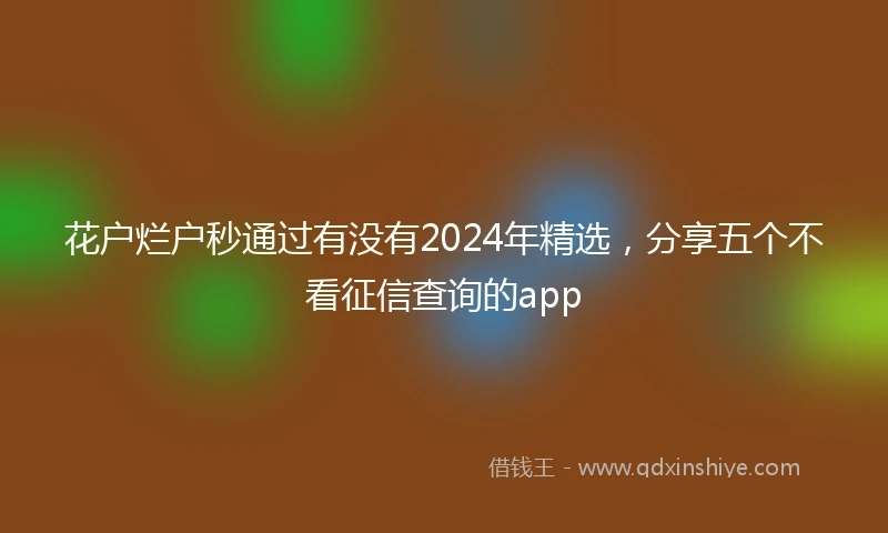花户烂户秒通过有没有2024年精选，分享五个不看征信查询的app