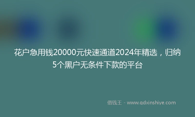 花户急用钱20000元快速通道2024年精选，归纳5个黑户无条件下款的平台